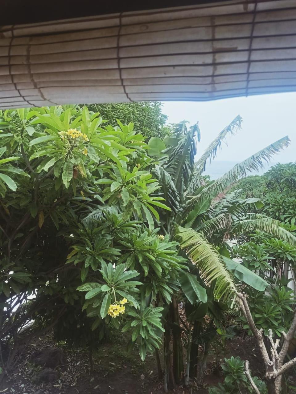 Fishermen'S Guesthouse آميدْ المظهر الخارجي الصورة